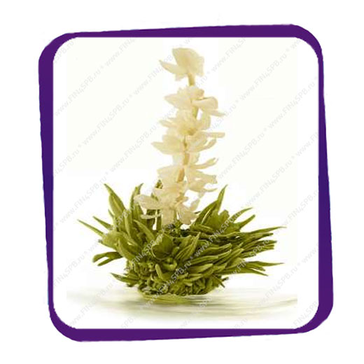 фото: Fosman Premium - Seven Engels