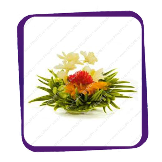 фото: Fosman Premium - The Sun Bridge