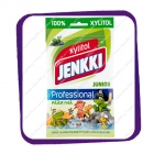 Jenkki - Professional - Junior Paaryna