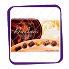 Maitre Truffout - Assorted Pralines - Exquisite - 180g